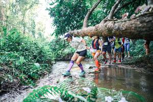 BIB: 
                            <button type="button" onclick="openModal(25464925)" class="btn btn-primary btn-sm float-right btn-popup" data-toggle="modal" data-target=".modal-high-quality">
                        <i class="fas fa-shopping-cart"></i> Add to Cart
                    </button>
                                            <button type="button" onclick="isThisMe(25464925, true)" class="btn btn-success btn-sm float-right btn-popup btn-isme hidden" data-toggle="tooltip" data-placement="bottom" title="นี่คือรูปของคุณใช่ไหม คลิกที่นี่เพื่อเอาเข้าอัลบั้ม">
                        <i class="fas fa-plus"></i> Add to album
                    </button>
                    <button type="button" onclick="isThisMe(25464925, false)" class="btn btn-warning btn-sm float-right btn-popup btn-isnotme hidden">
                        <i class="fas fa-ban"></i> Remove from album
                    </button>